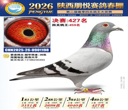陕西朋悦决赛427名