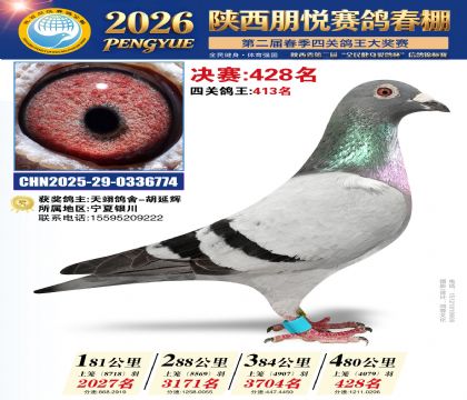 陕西朋悦决赛428名