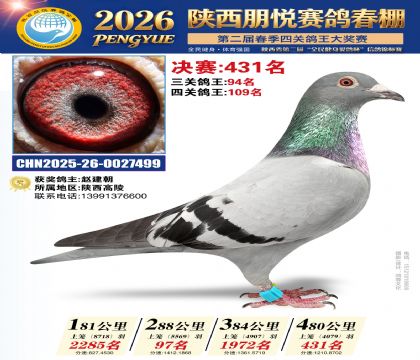 陕西朋悦决赛431名