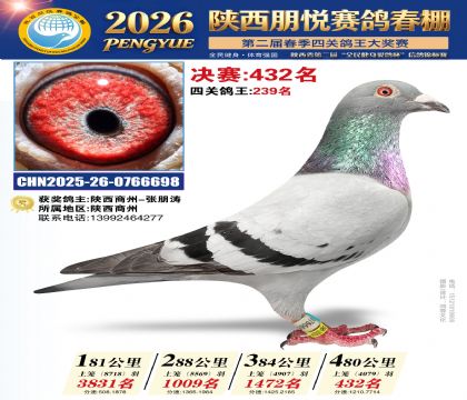陕西朋悦决赛432名