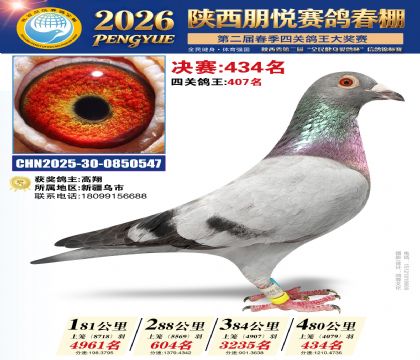 陕西朋悦决赛434名