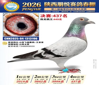 陕西朋悦决赛437名