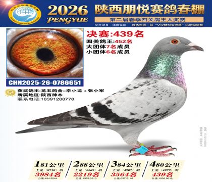 陕西朋悦决赛439名