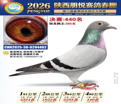 陕西朋悦决赛440名