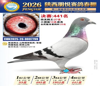 陕西朋悦决赛441名