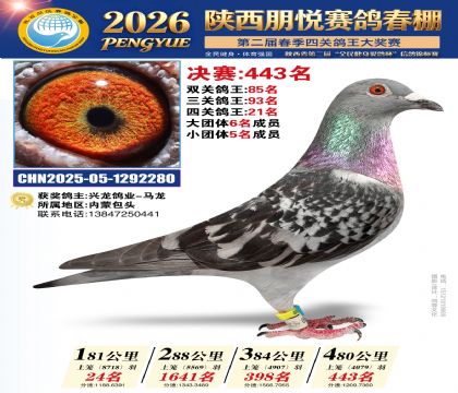 陕西朋悦决赛443名