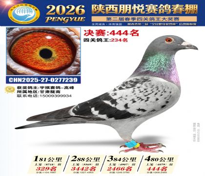 陕西朋悦决赛444名
