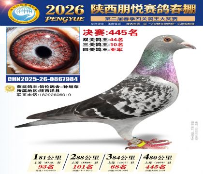 陕西朋悦决赛445名(三关鸽王10名)