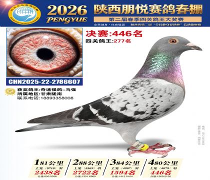 陕西朋悦决赛446名