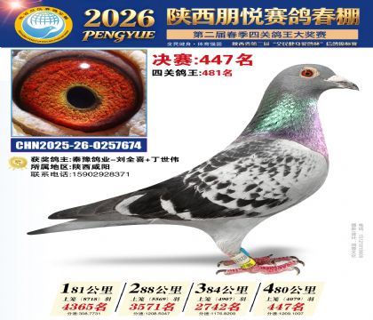 陕西朋悦决赛447名