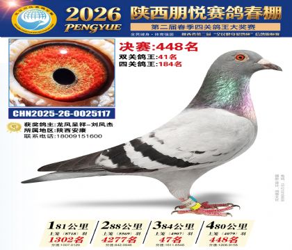 陕西朋悦决赛448名