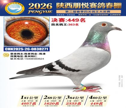 陕西朋悦决赛449名