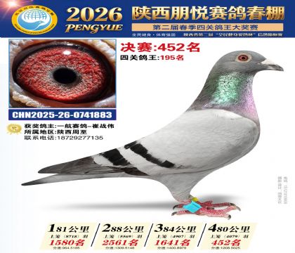 陕西朋悦决赛452名
