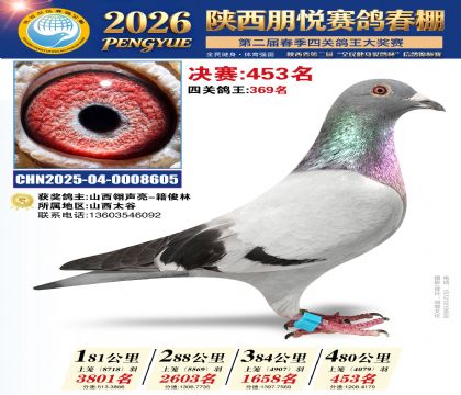 陕西朋悦决赛453名