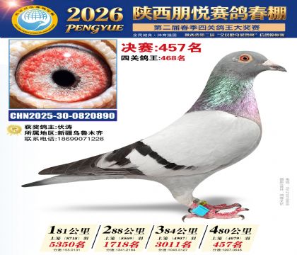 陕西朋悦决赛457名