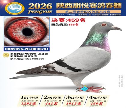 陕西朋悦决赛459名