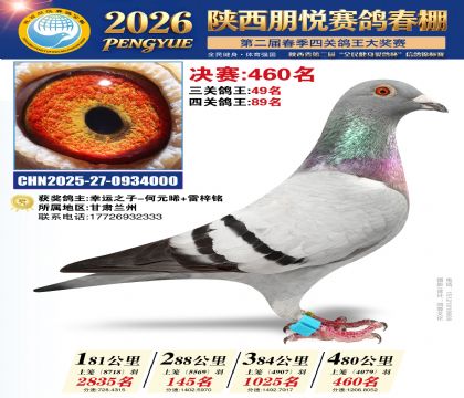 陕西朋悦决赛460名