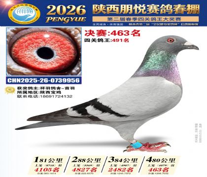 陕西朋悦决赛463名