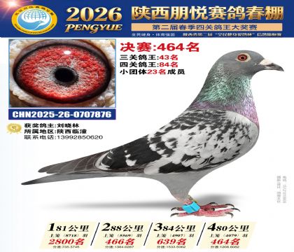 陕西朋悦决赛464名