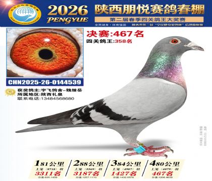 陕西朋悦决赛467名
