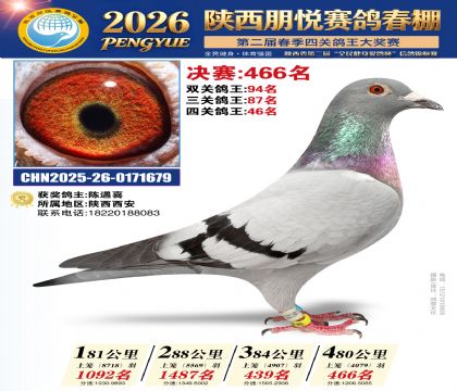 陕西朋悦决赛466名