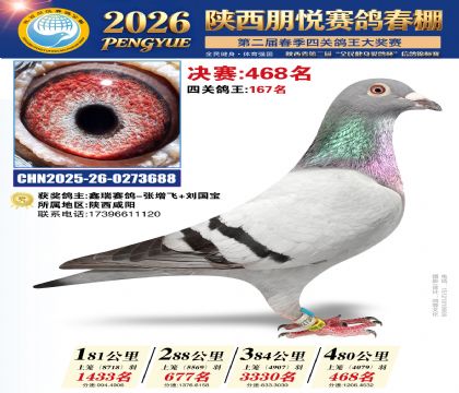 陕西朋悦决赛468名