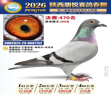 陕西朋悦决赛470名