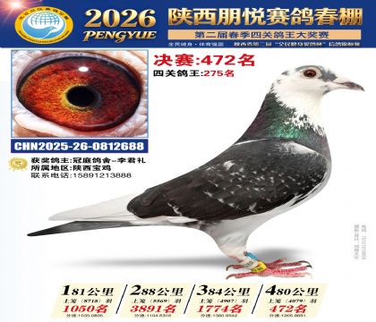 陕西朋悦决赛472名