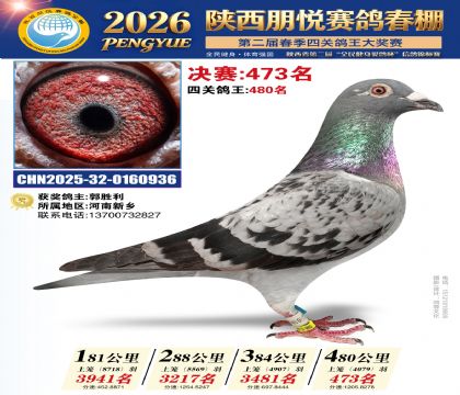 陕西朋悦决赛473名