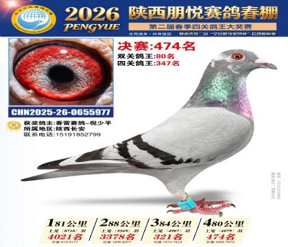 陕西朋悦决赛474名