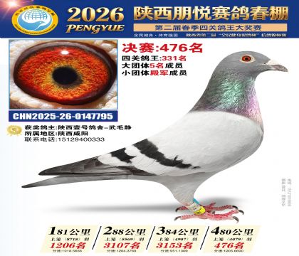 陕西朋悦决赛476名