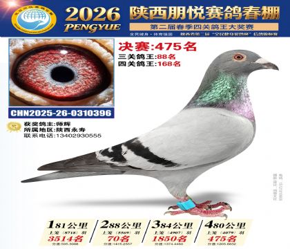 陕西朋悦决赛475名