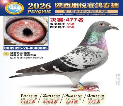 陕西朋悦决赛477名