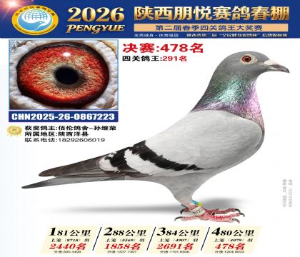 陕西朋悦决赛478名