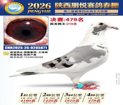 陕西朋悦决赛479名