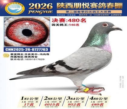 陕西朋悦决赛480名