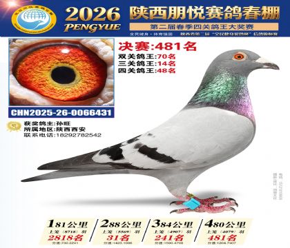 陕西朋悦决赛481名