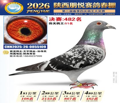 陕西朋悦决赛482名