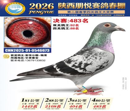陕西朋悦决赛483名