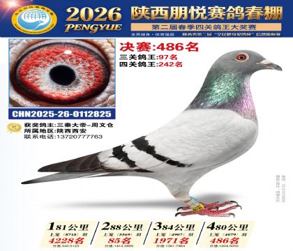 陕西朋悦决赛486名