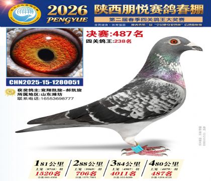 陕西朋悦决赛487名