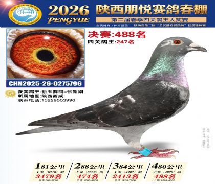 陕西朋悦决赛488名