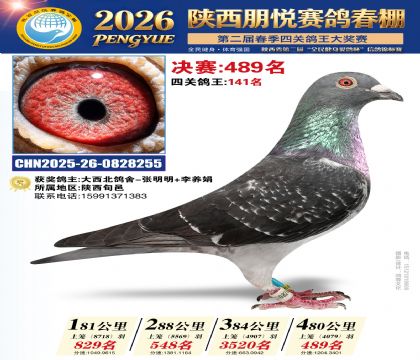陕西朋悦决赛489名