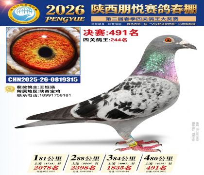 陕西朋悦决赛491名