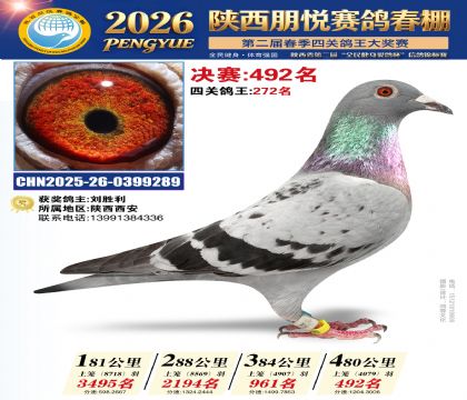 陕西朋悦决赛492名