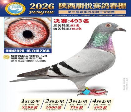 陕西朋悦决赛493名