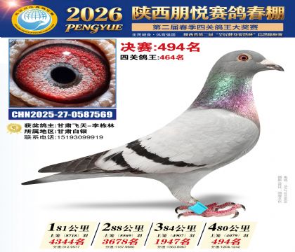 陕西朋悦决赛494名