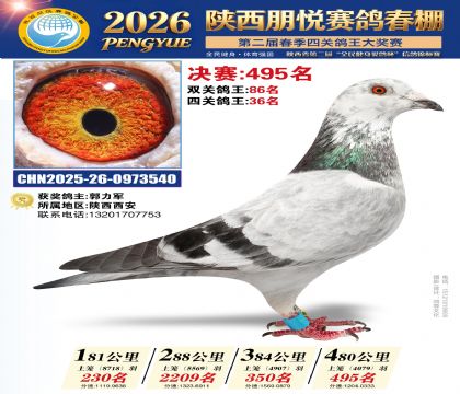 陕西朋悦决赛495名