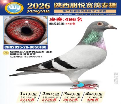 陕西朋悦决赛496名