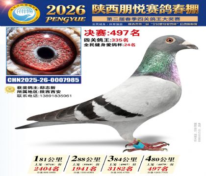 陕西朋悦决赛497名